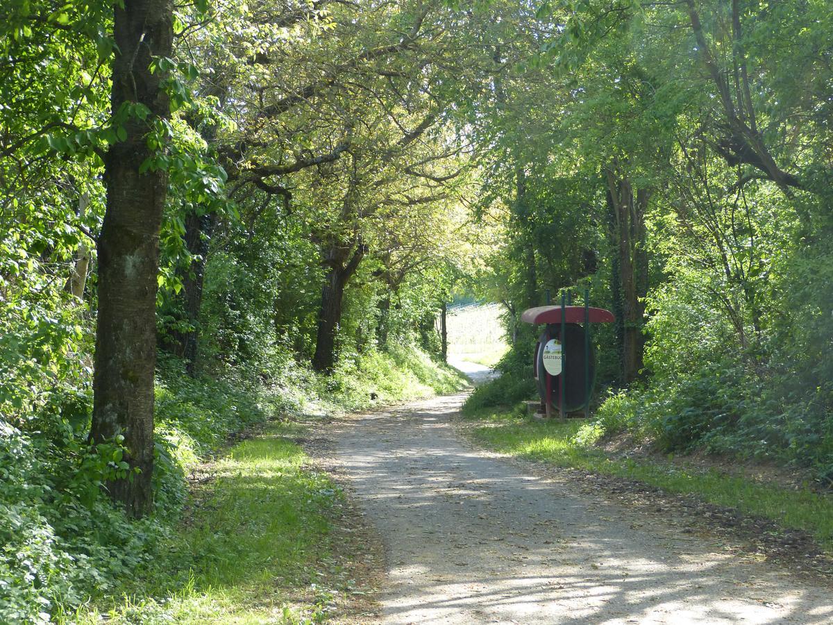 Gaestehaus Annel Niederhorbach Extérieur photo